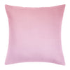 Signature Pink 22x22 Pillow